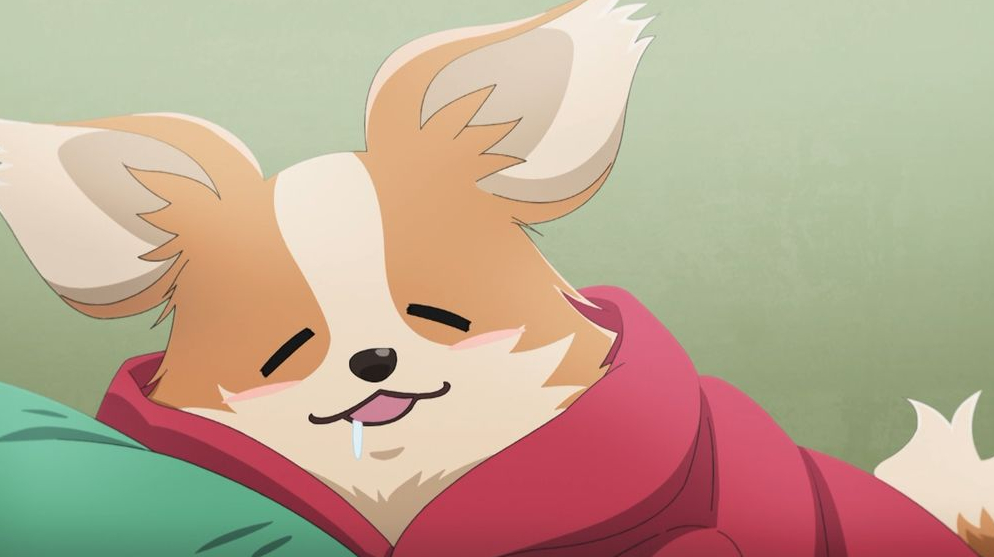 ���L������ moca