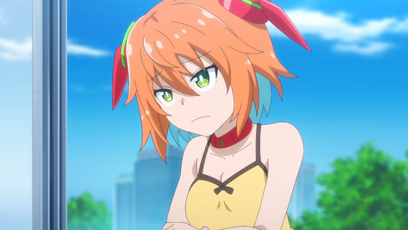 �A���}�����͉Ƒ��ɂȂ肽�� moca