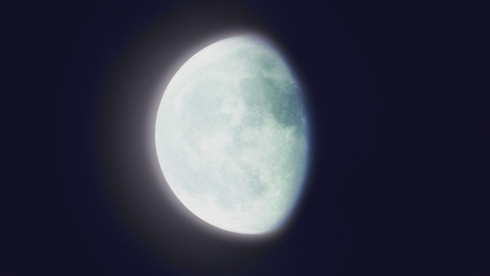 ���B�W�����e moca