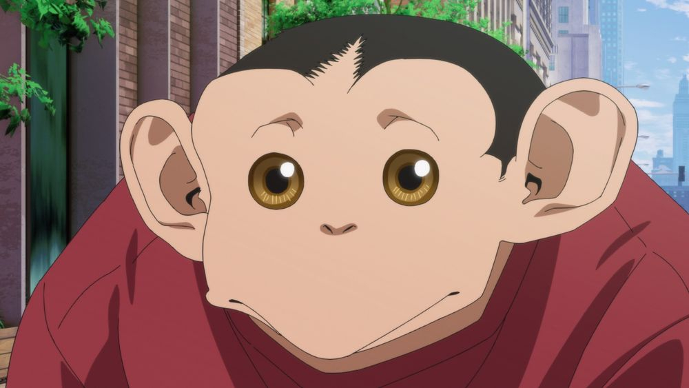 �_�[�E�B������ moca