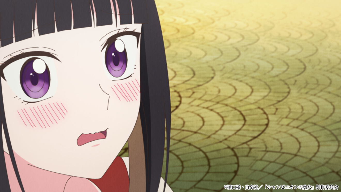 �V�����s�j�I���̖��� moca