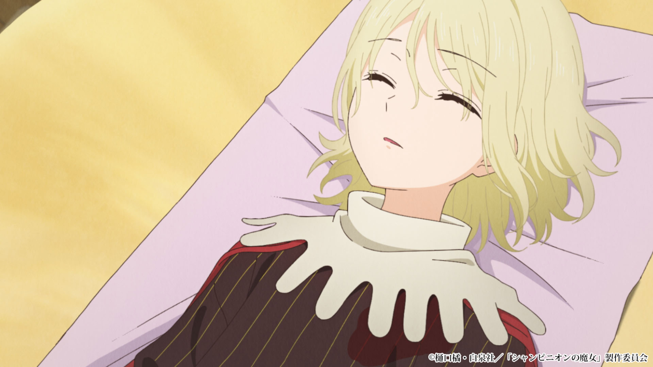 �V�����s�j�I���̖��� moca