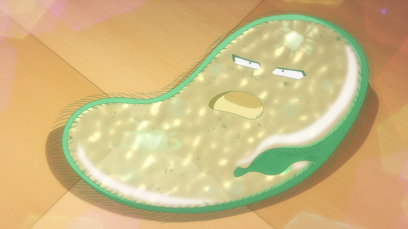 �n�C�X�N�[���I��ʑg moca