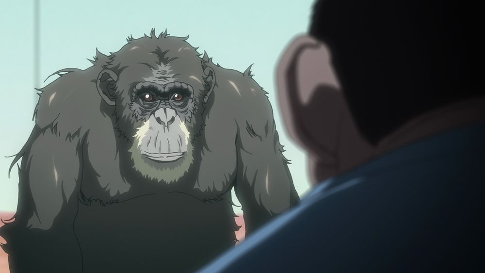 �_�[�E�B������ moca