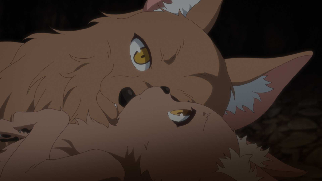 �l�O�����̐l�Ԍ������t moca