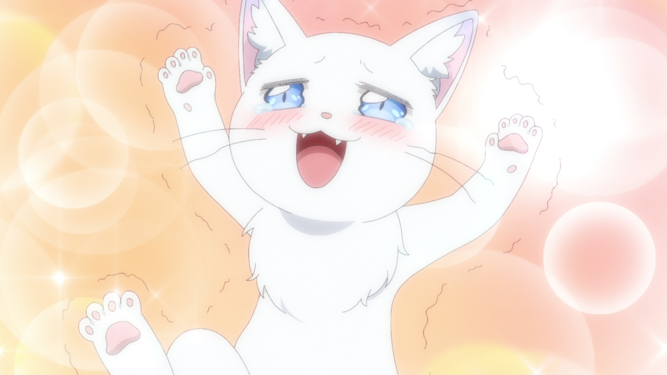 �ŋ��̐E�Ƃ͗E�҂ł����҂ł��Ȃ��Ӓ�m�i���j�炵���ł���H moca