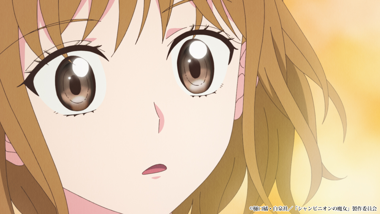 �V�����s�j�I���̖��� moca