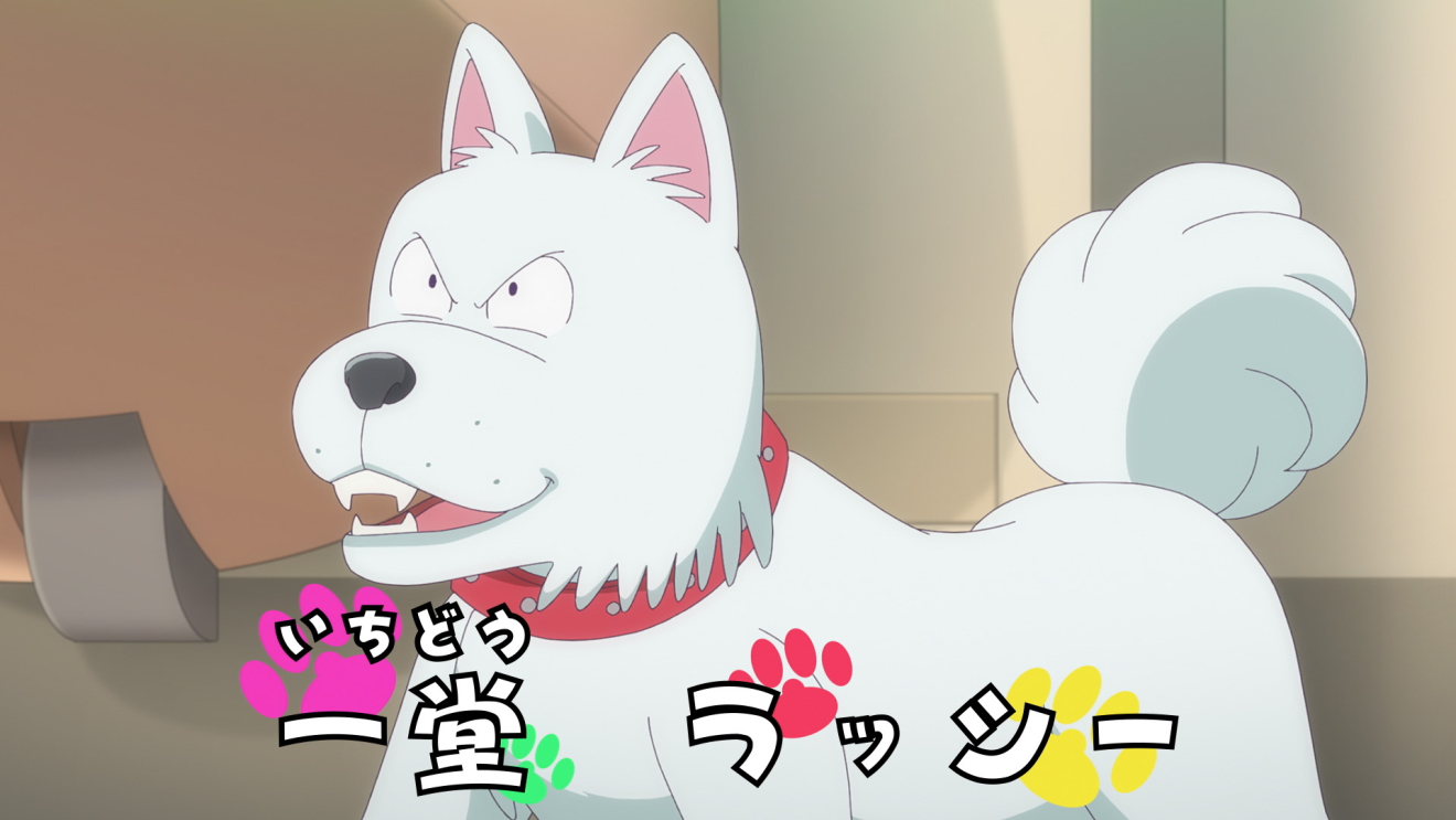 �n�C�X�N�[���I��ʑg moca