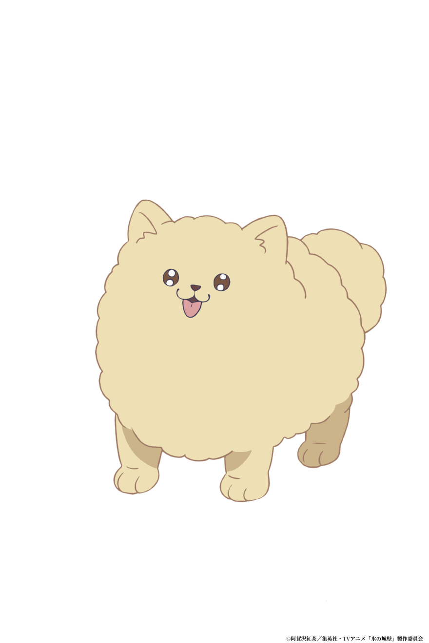 �X�̏�� �ۂ� moca