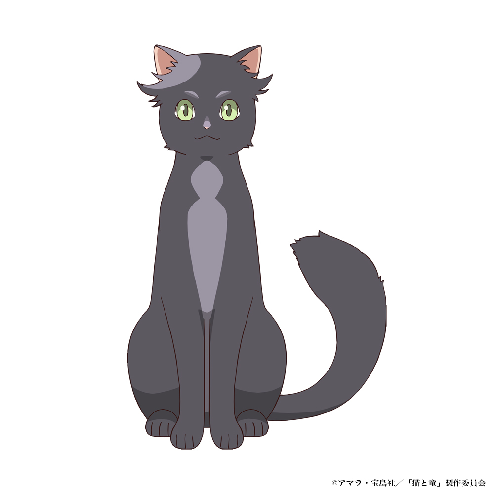 �L�Ɨ� �`�[�N�� moca