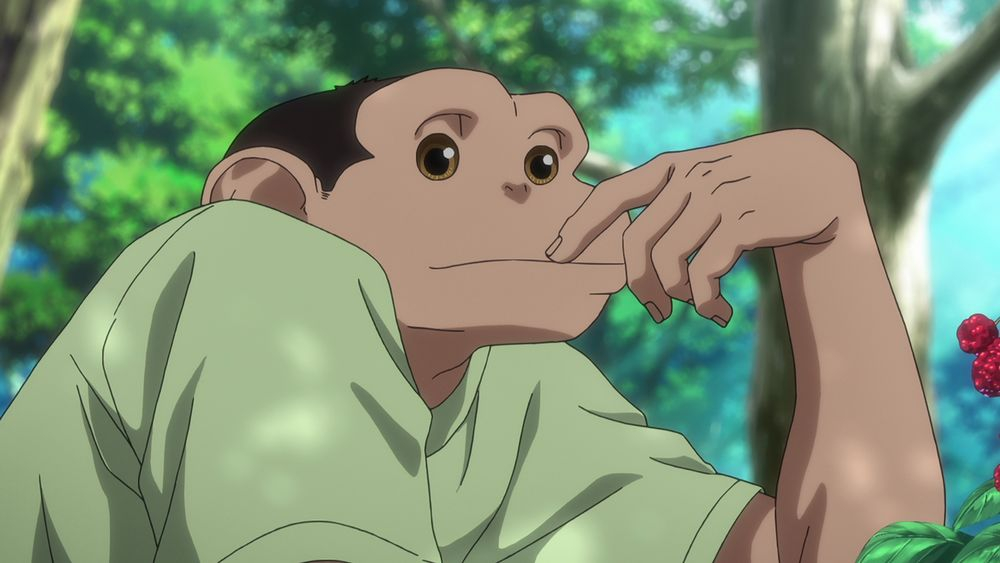 �_�[�E�B������ moca