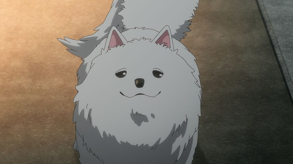 ���L������ moca