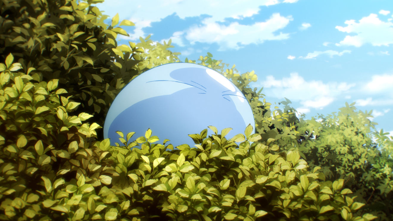 �]��������X���C���������� moca