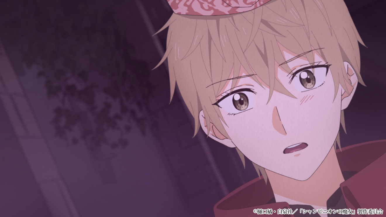 �V�����s�j�I���̖��� moca