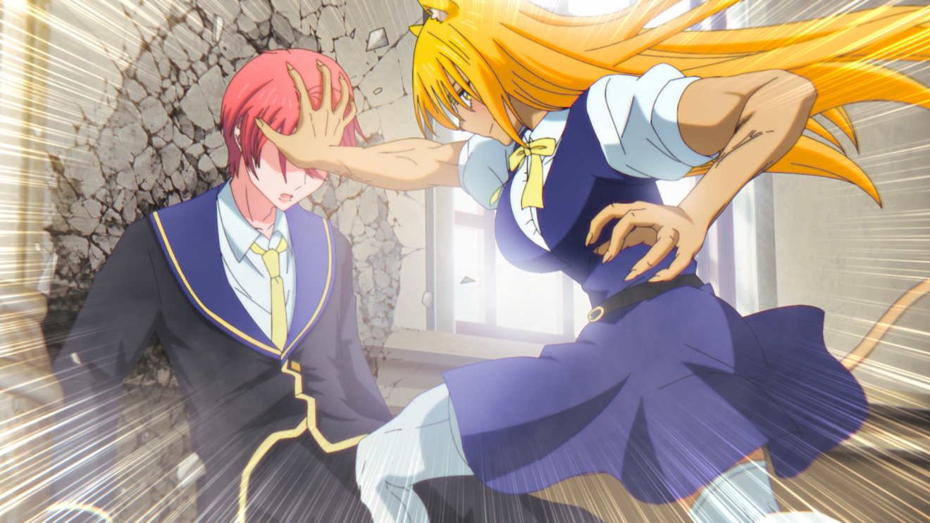 ���L�Ɩ����̋��� moca