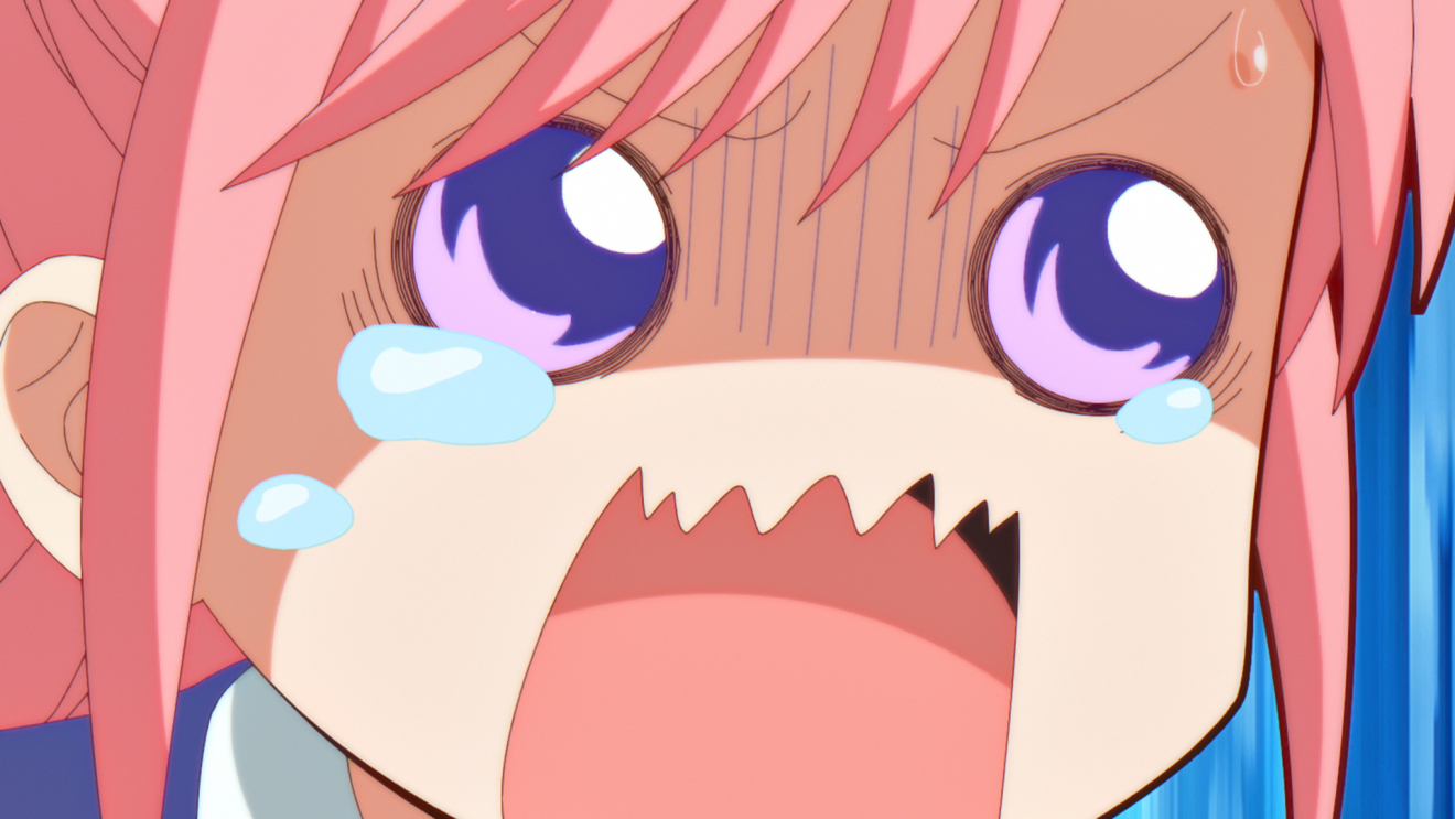 ���L�Ɩ����̋��� moca