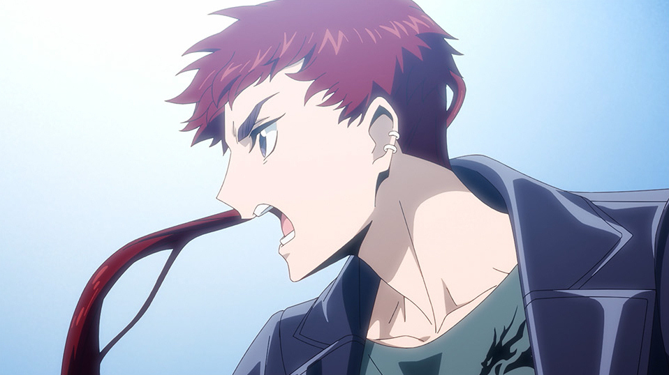 �J�[�h�t�@�C�g!! ���@���K�[�h Divinez ���^����� moca