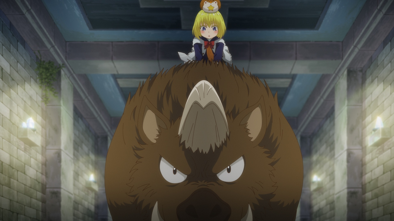 29�ΓƐg�����`���҂̓��� moca