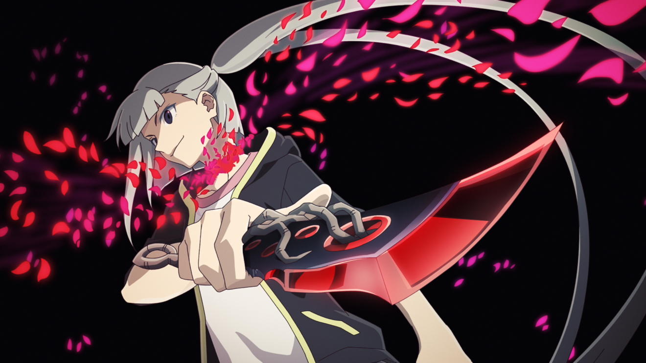 ���B���J�[�l�[�V�����̉ԕ� moca