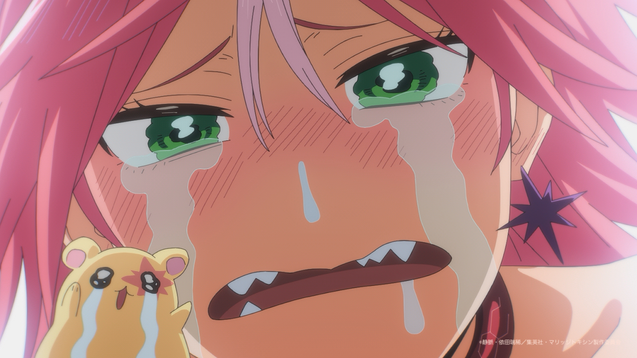 �}���b�W�g�L�V�� moca